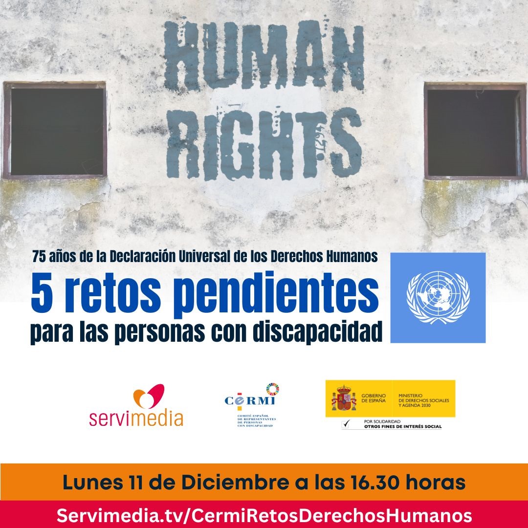 Diálogo sobre los '75 años de la Declaración Universal de los Derechos Humanos: 5 retos pendientes para las personas con discapacidad'