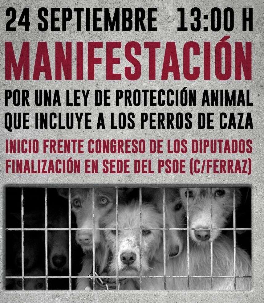 Más de 100 ONG animalistas se manifiestan hoy ante el Congreso y la sede  del PSOE | Líder en Información Social | Servimedia