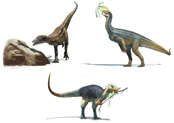 Los primeros dinosaurios eran carnívoros, omnívoros o herbívoros | Líder en  Información Social | Servimedia